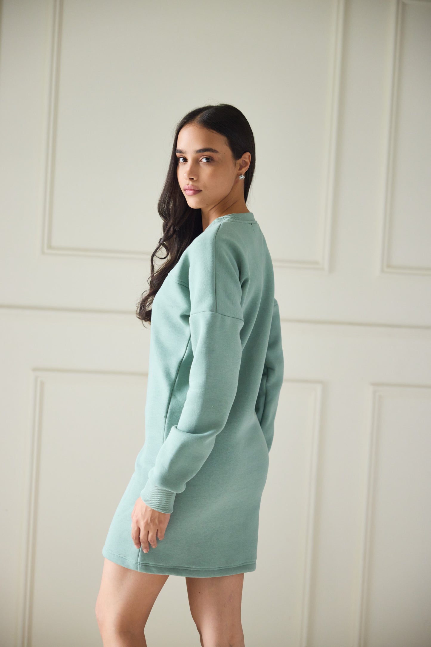 Green Sage Sweatshirt Dress (Women)